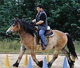 neu-Dirk Dualaktivierung reiten